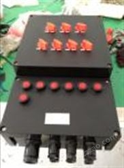 BXM8050-6/16K100防爆防腐照明配电箱