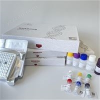 供应结合蛋白ELISA试剂盒